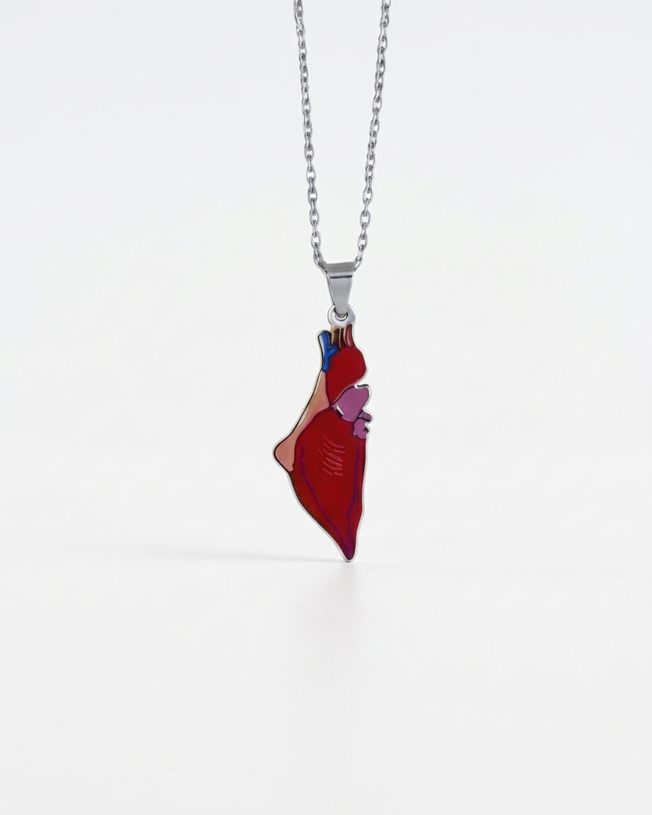 Heart Palestine Necklace Silver