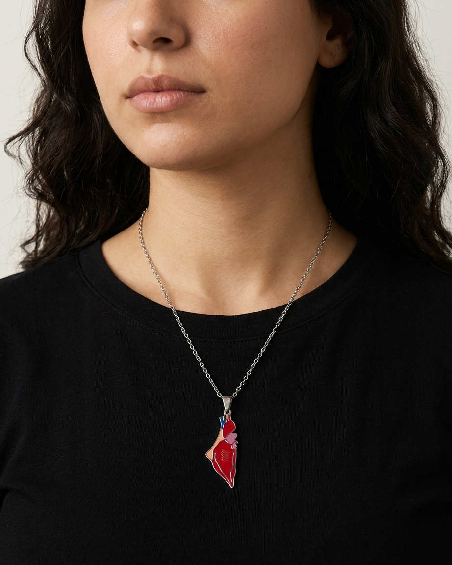 Heart Palestine Necklace Silver