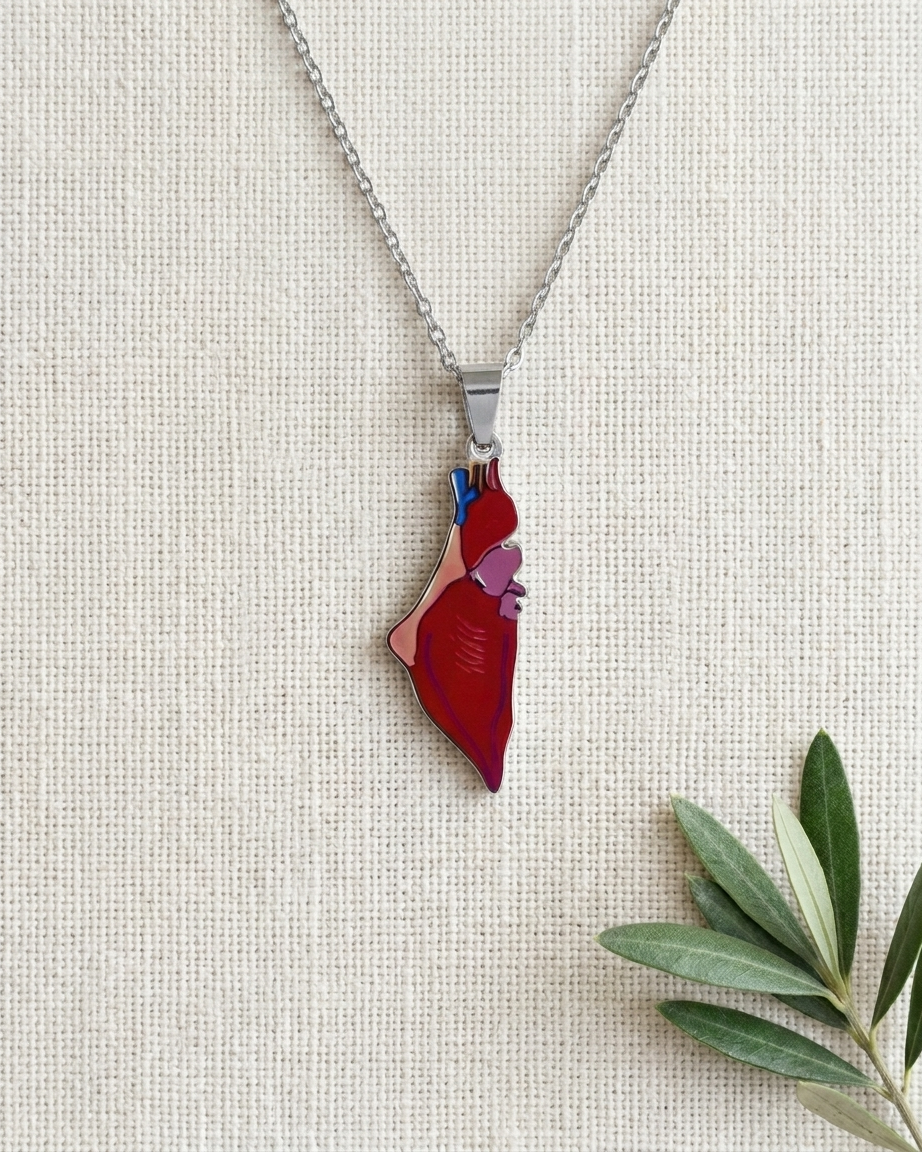 Heart Palestine Necklace Silver